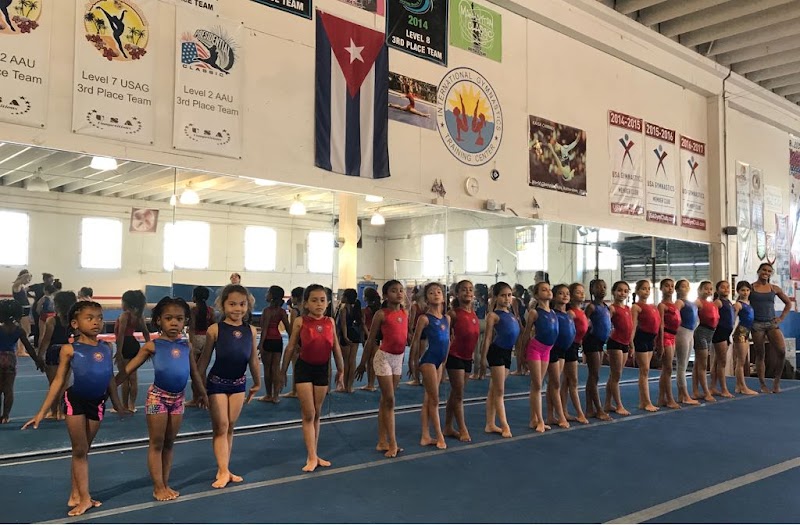 Gymnastic Wizards photo 3
