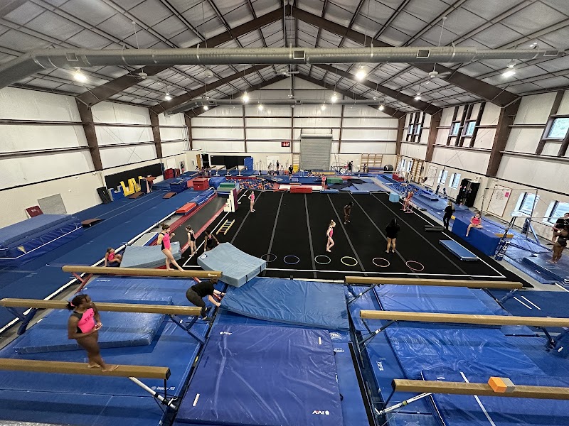 Vision Gymnastics Academy photo 2