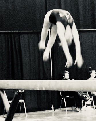 Michael's Legacy Gymnastics Academy photo 2