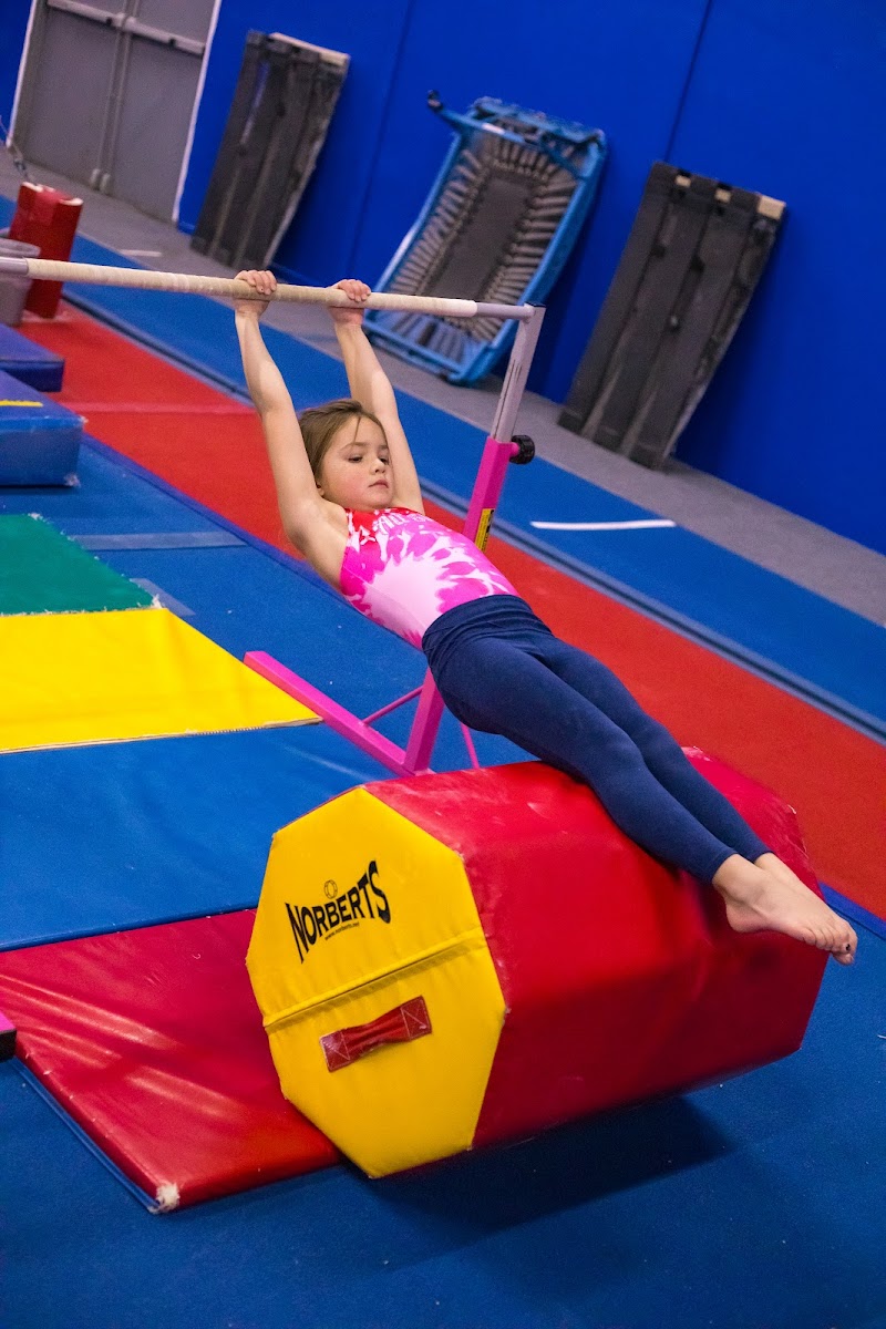 All Star Gymnastics and Cheer