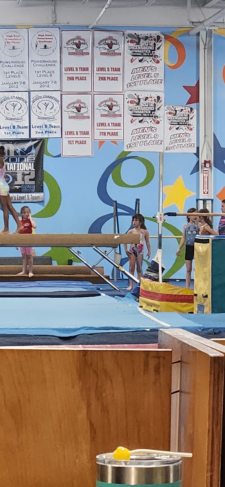 Langley Gymnastics Training Center LLC photo 2