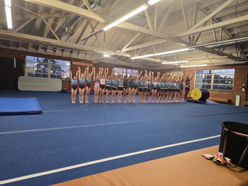 Persistence Gymnastics photo 2