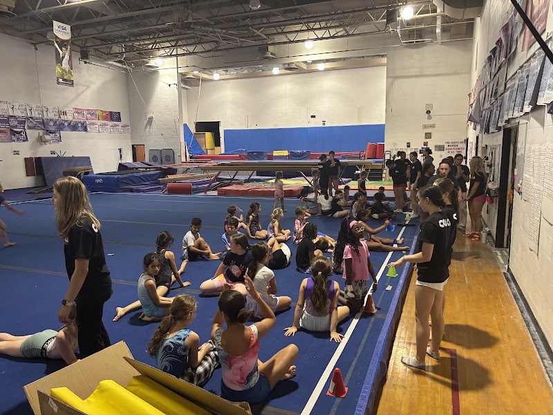 Y.W.C.A Tumblettes-Tumblers photo 3