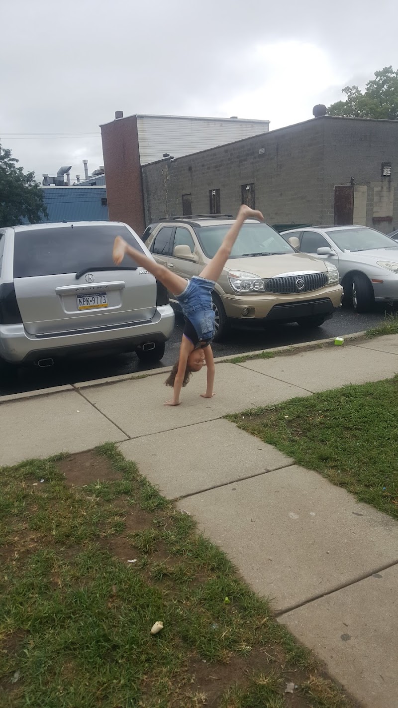 Harrisburg Gymnastics photo 2