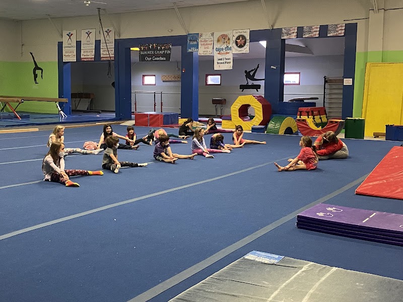 Gymnastic Academy of Boston photo 2