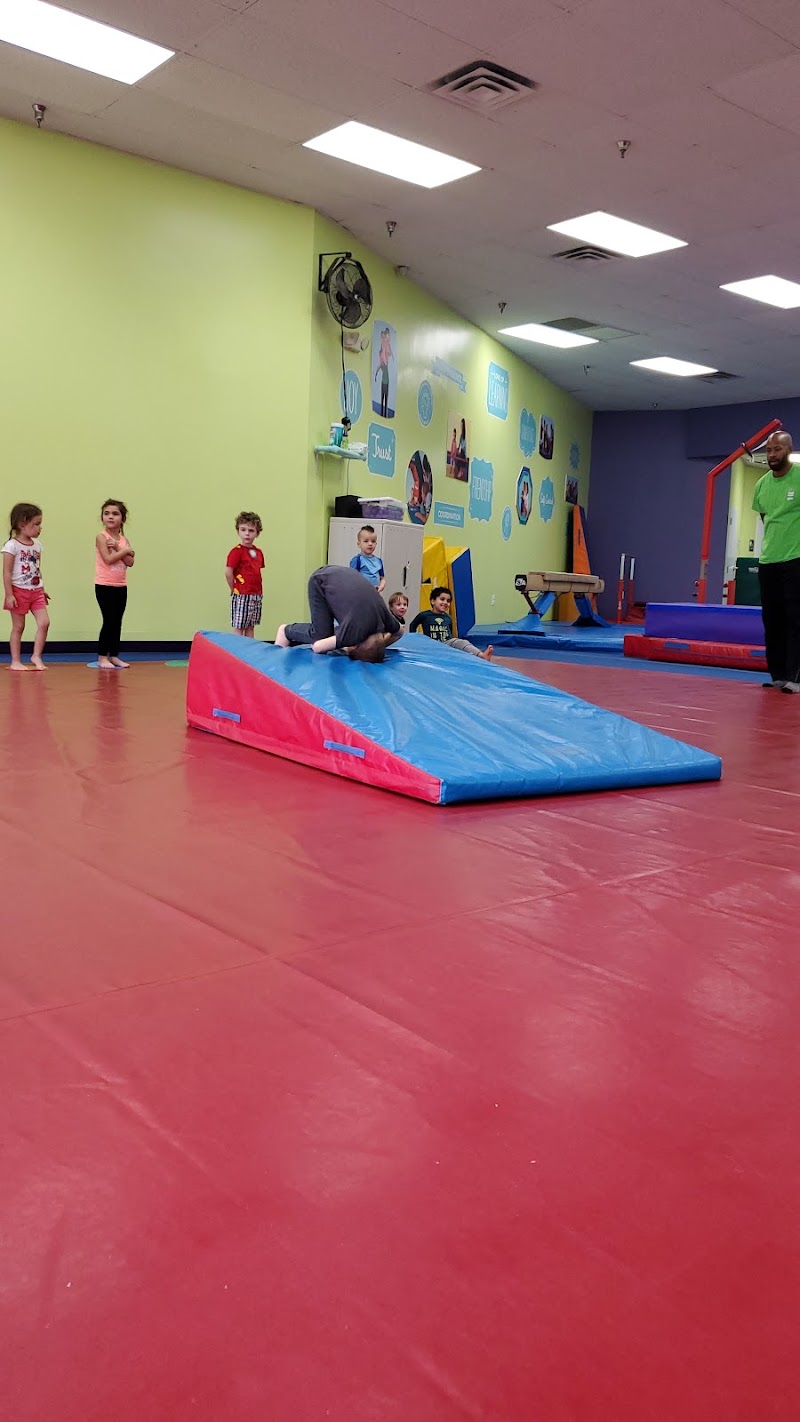 The Little Gym of Cary photo 3