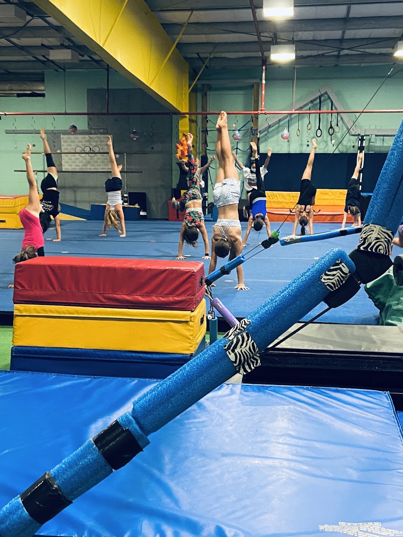 True Gymnastics