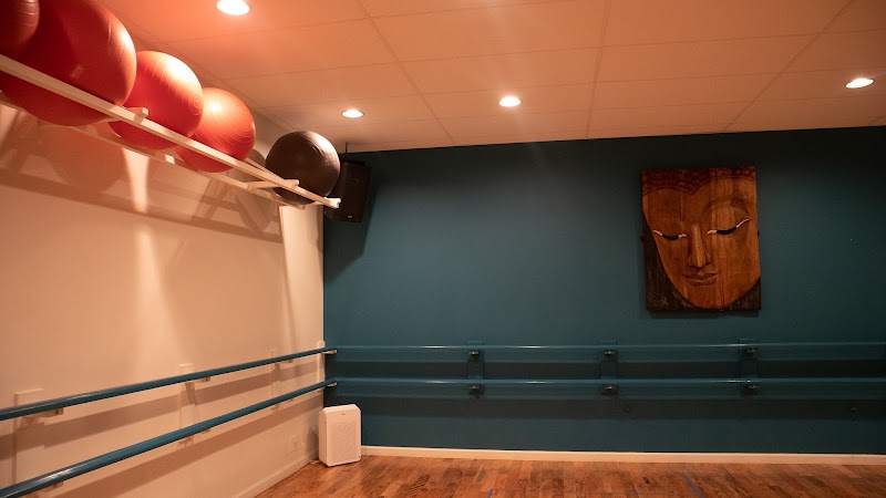 Still & Moving Center photo 3