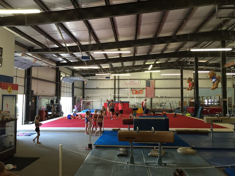 Cahoys Gymnastics Training Ct. photo 2