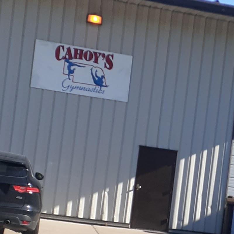 Cahoys Gymnastics Training Ct. photo 3