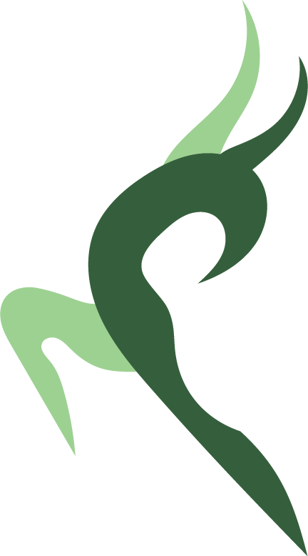 Roots Gymnastics photo 3
