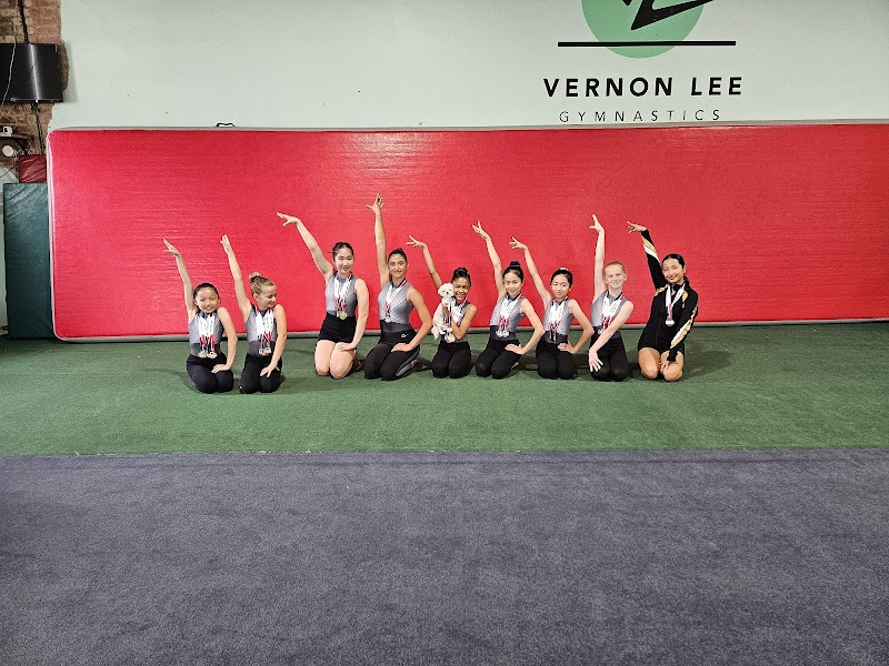 Vernon Lee Gymn Academy photo 2