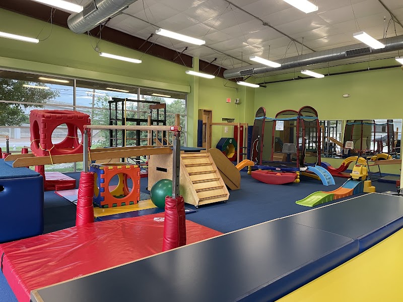 My Gym Children's Fitness Center photo 2