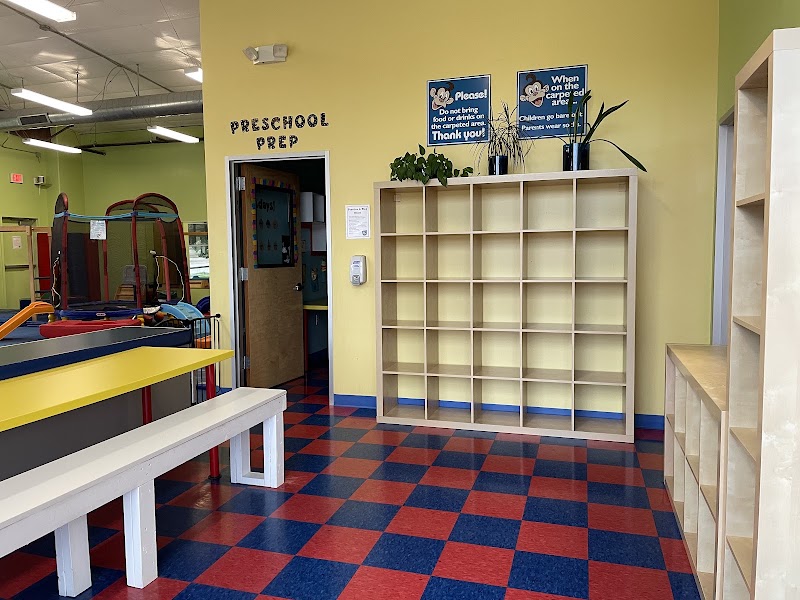 My Gym Children's Fitness Center photo 3