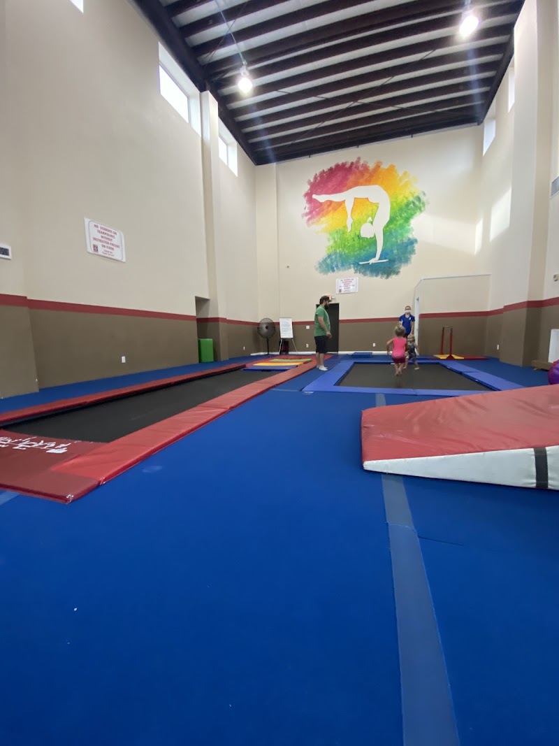 Flippin Out Gymnastics photo 2