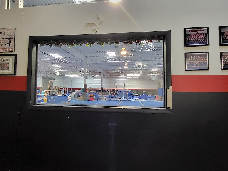 Ches-Co Gymnastics LLC photo 2