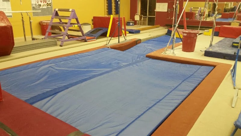 Dardano's School of Gymnastics photo 2