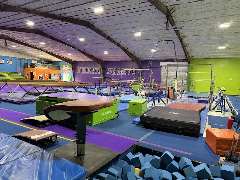 McAlester Elite Gymnastics Academy photo 3