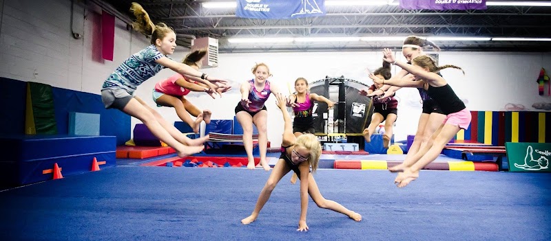 Double D Gymnastics Inc. photo 2