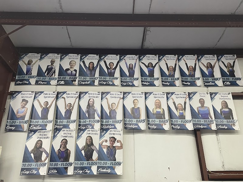 New River Gymnastics Academy photo 3