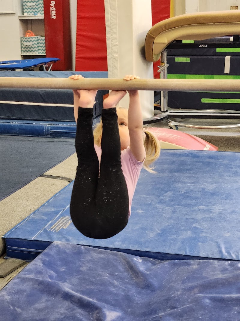 Tidewater Gymnastics Center photo 2