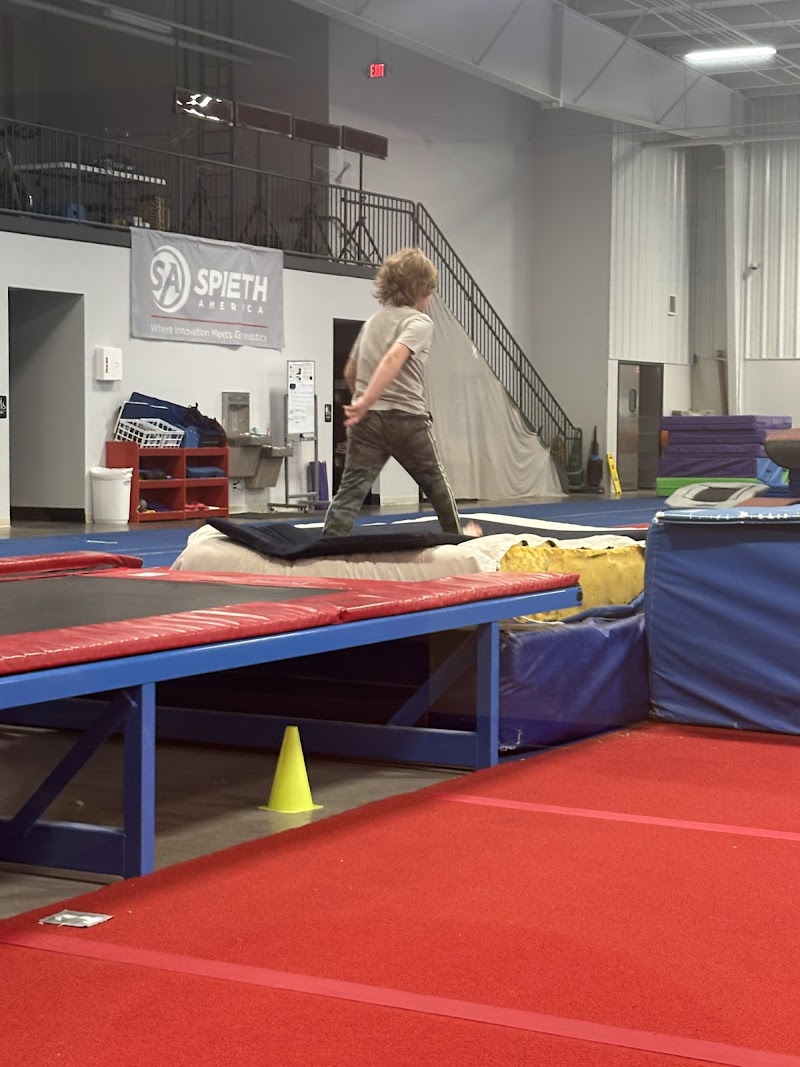 Branch Gymnastics photo 2