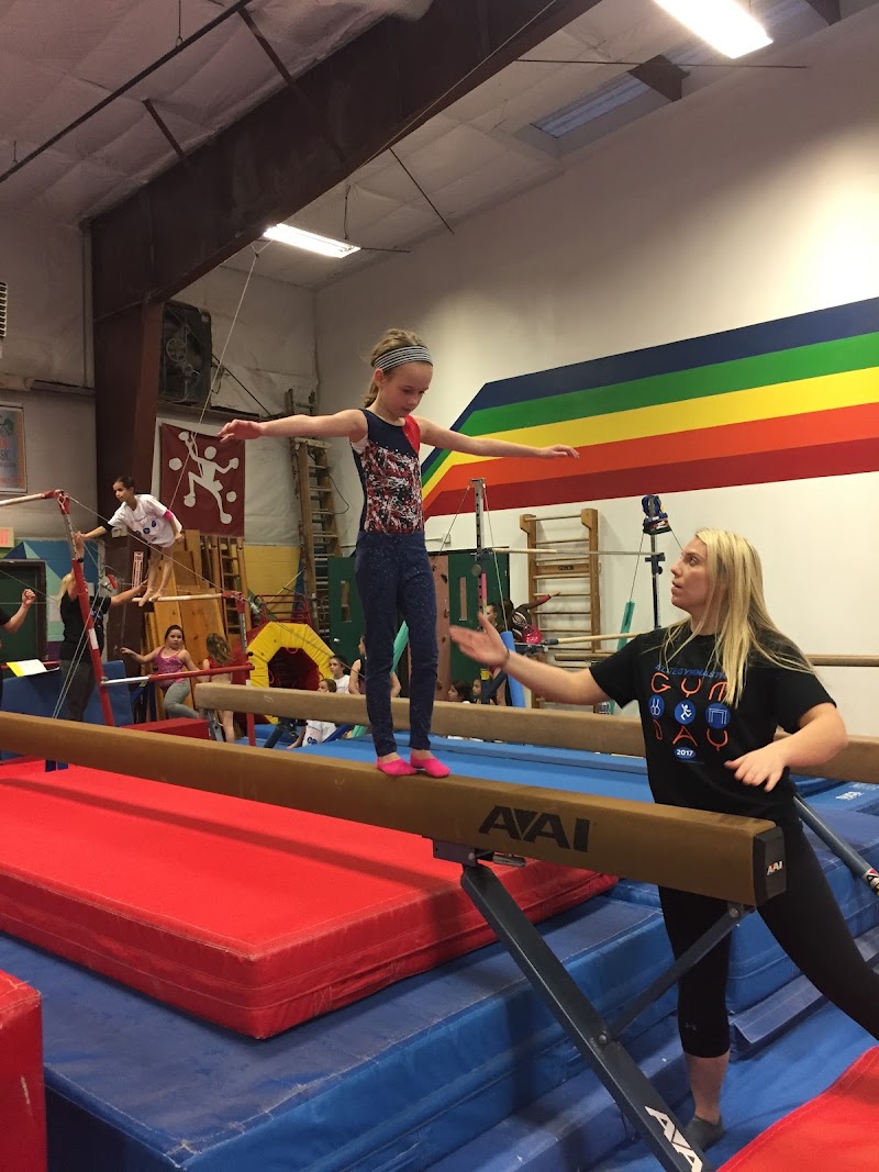Elite Gymnastics photo 3