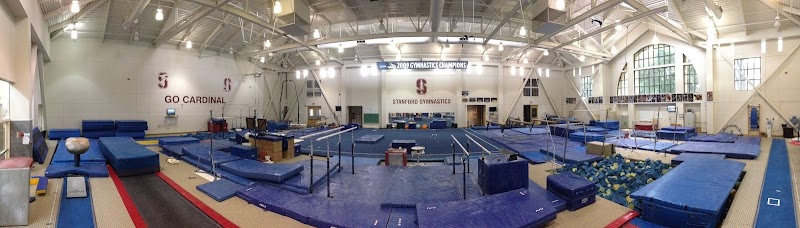 Stanford Boys Gymnastics