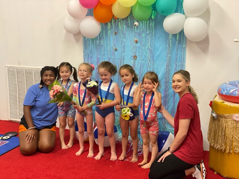 Gymnastics Gold photo 2