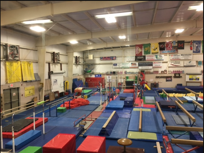 Gymnastics Gold photo 3
