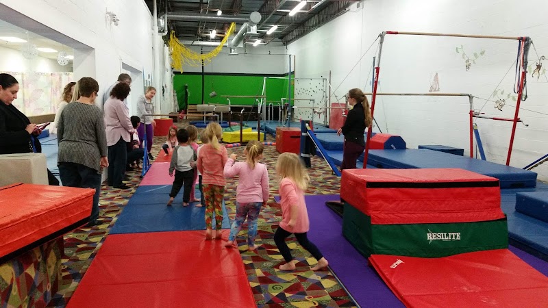 Gymkhana Inc. photo 2