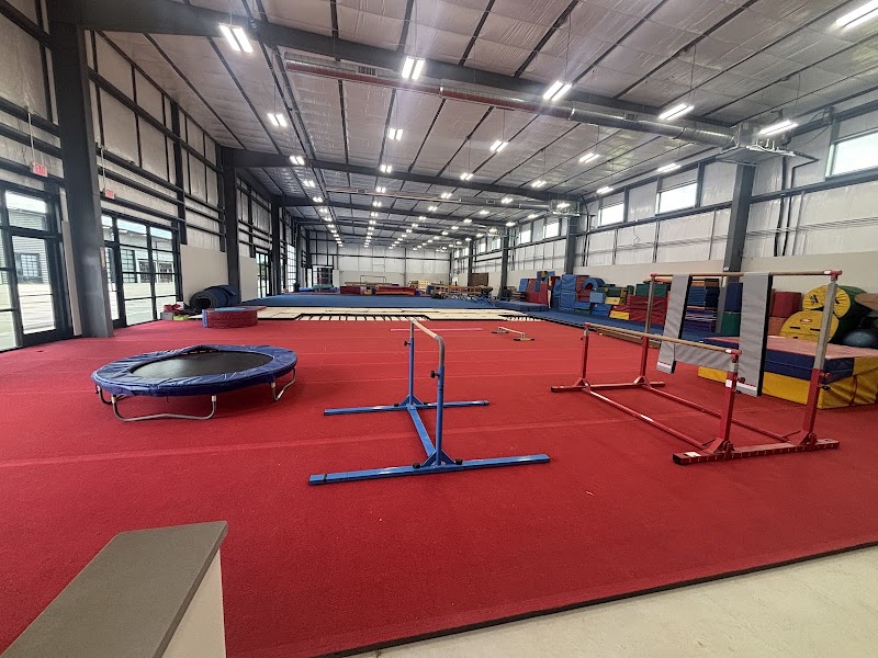Texas Excel Gymnastics Academy LLC
