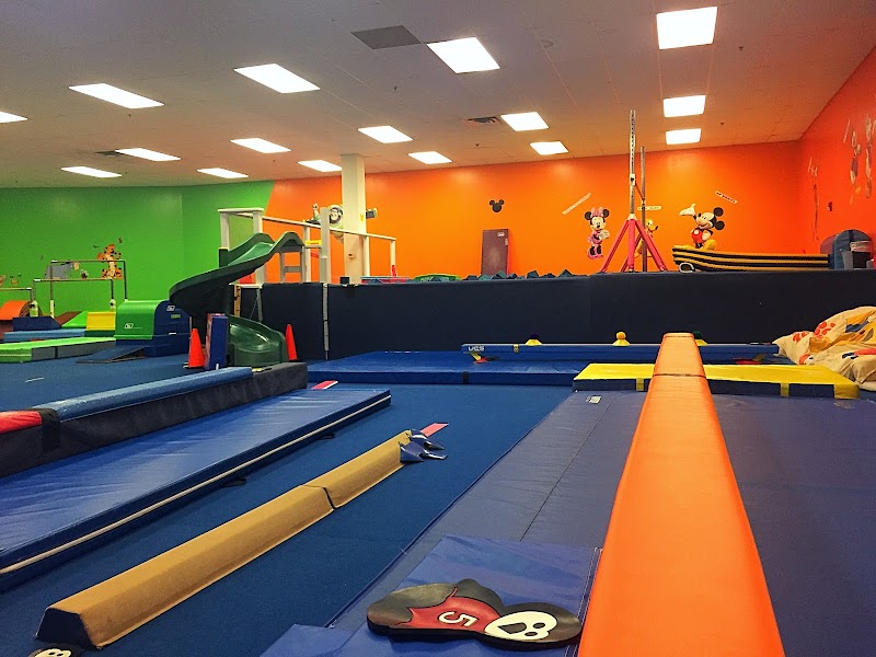 Ricochets Gymnastics photo 3