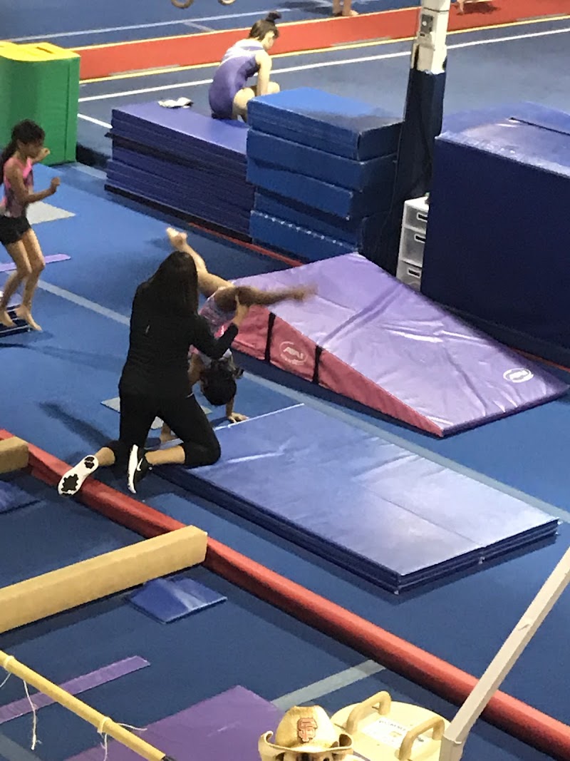 HD Gymnastics