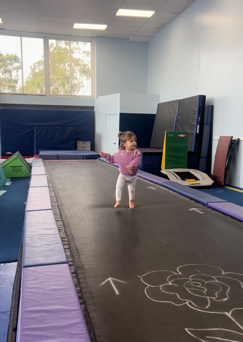Aerial Gymnastics Club photo 3