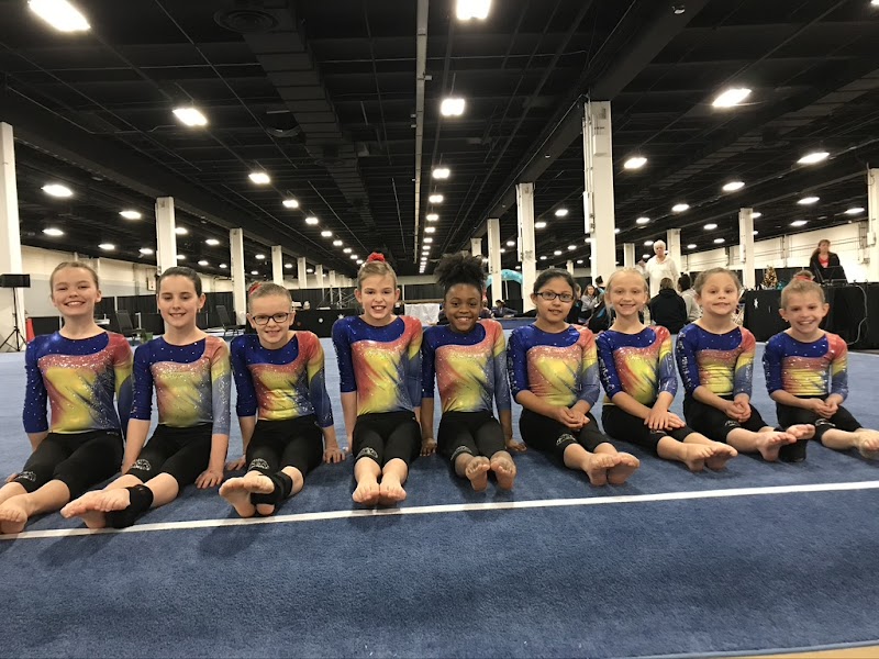 Palmetto Gymnastics Academy photo 2