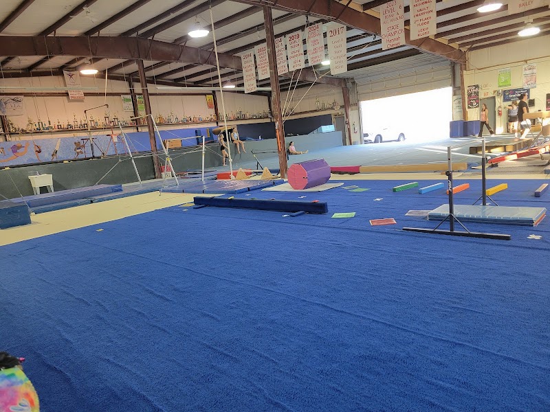 Maple City Gymnastics photo 3