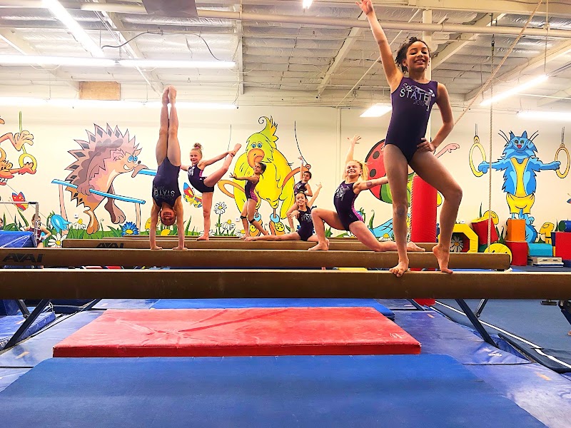 All Olympia Gymnastics Center photo 2