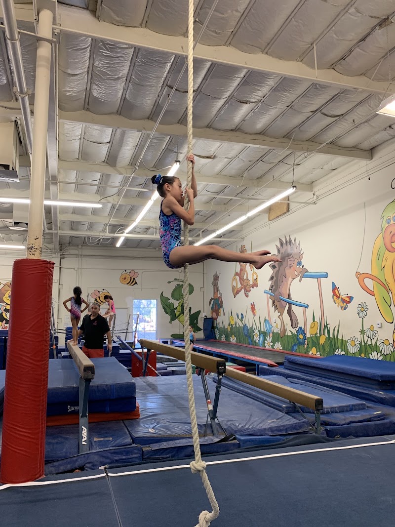 All Olympia Gymnastics Center photo 3