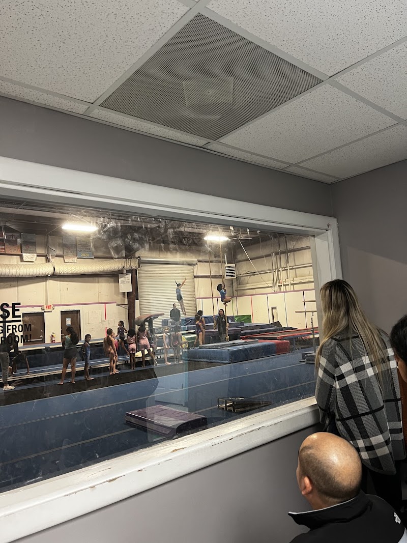 BIO Gymnastics & Athletics Unlimited photo 3