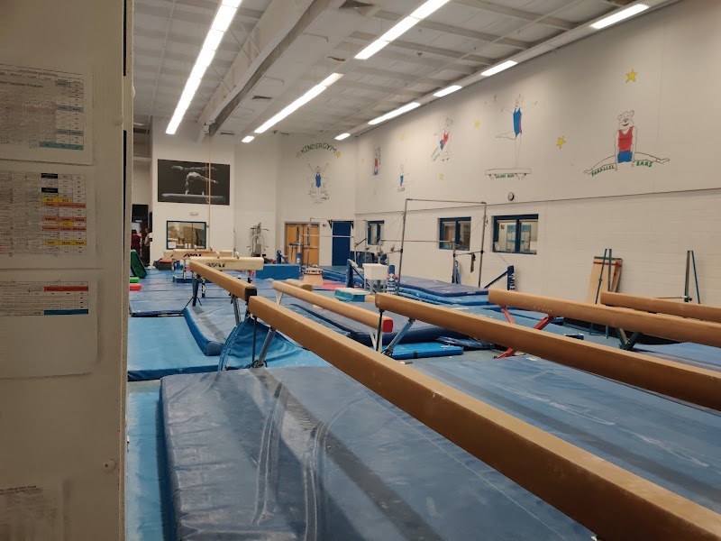 Roswell Gymnastics photo 2