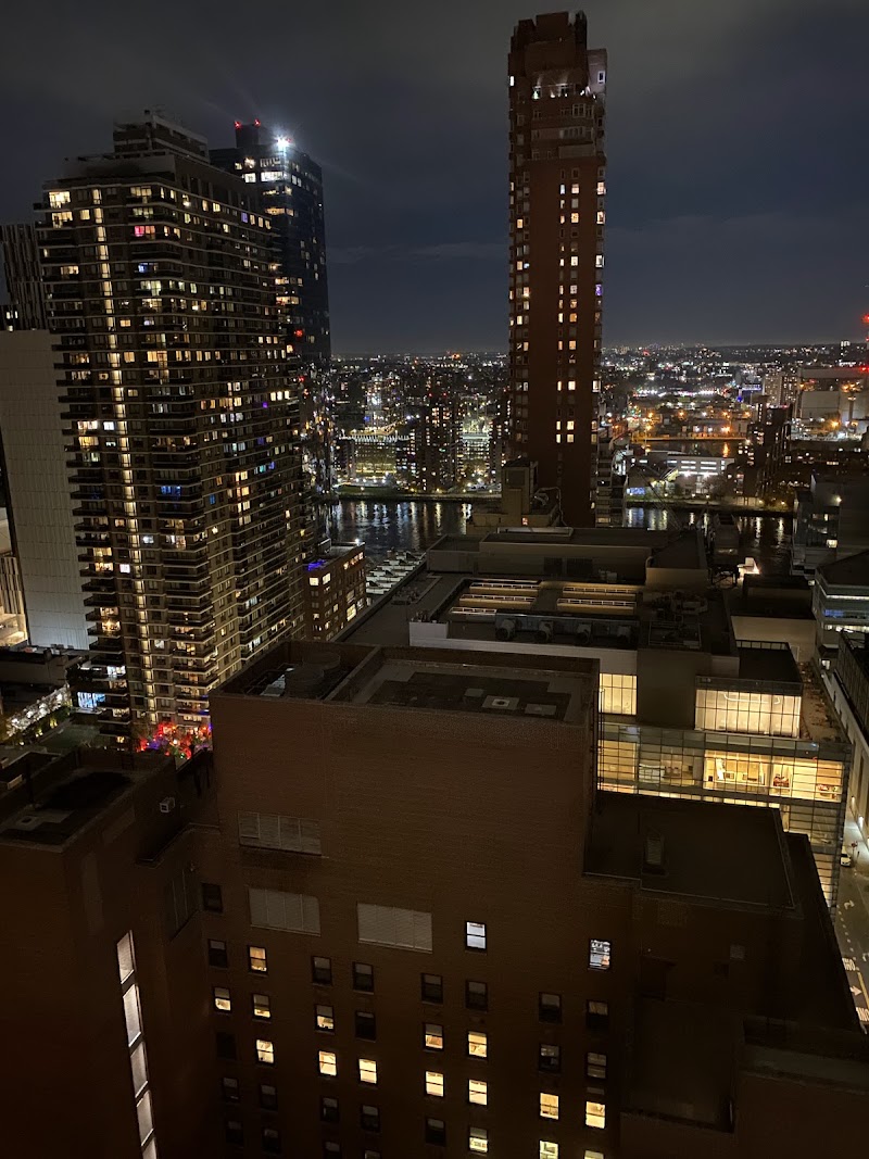 Sokol New York photo 3