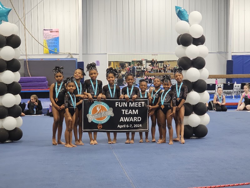 Detroit School Of Gymnastics