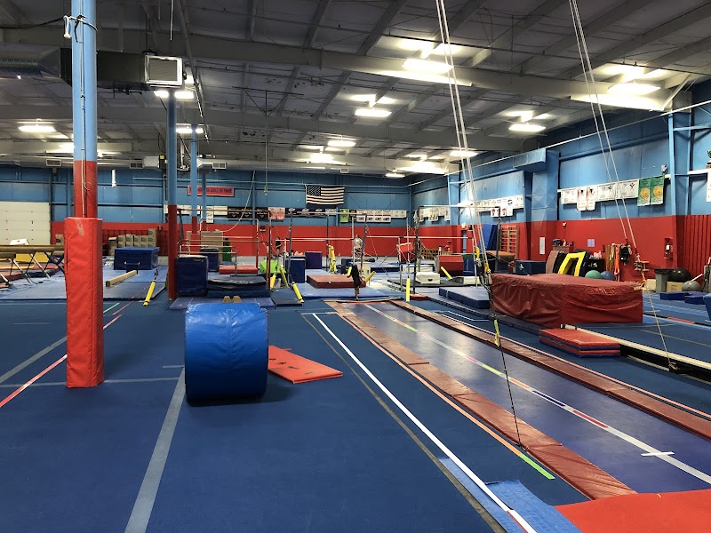 Gym-Nation Gymnastics photo 2