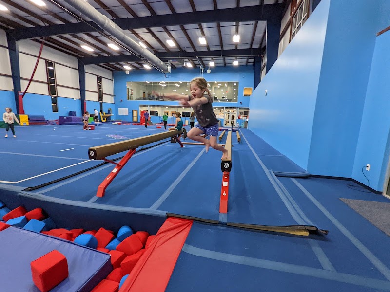 Metro Stars Gymnastics photo 2
