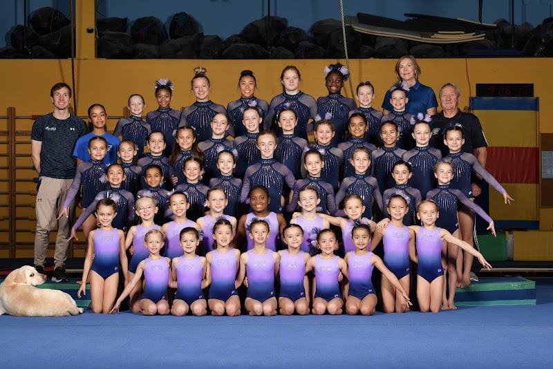 International Gold Gymnastics
