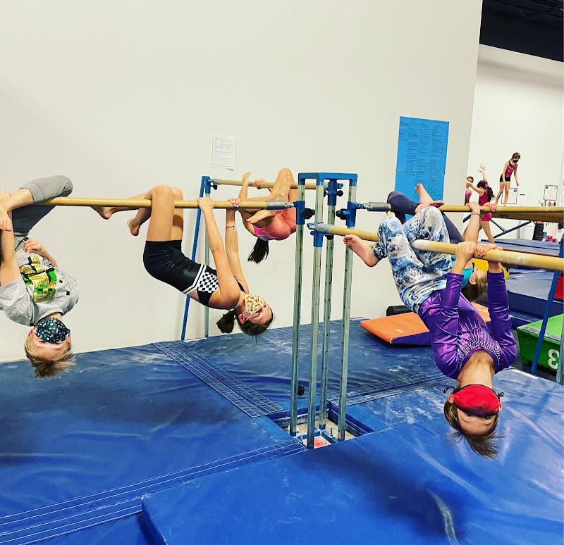 Dream Gymnastics Academy photo 3