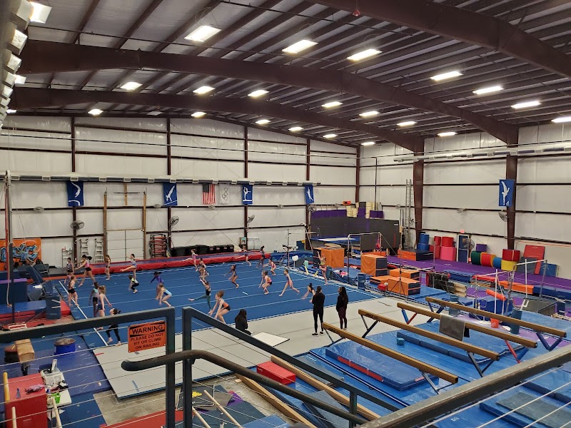 Upper Merion Dance and Gymnastics photo 2