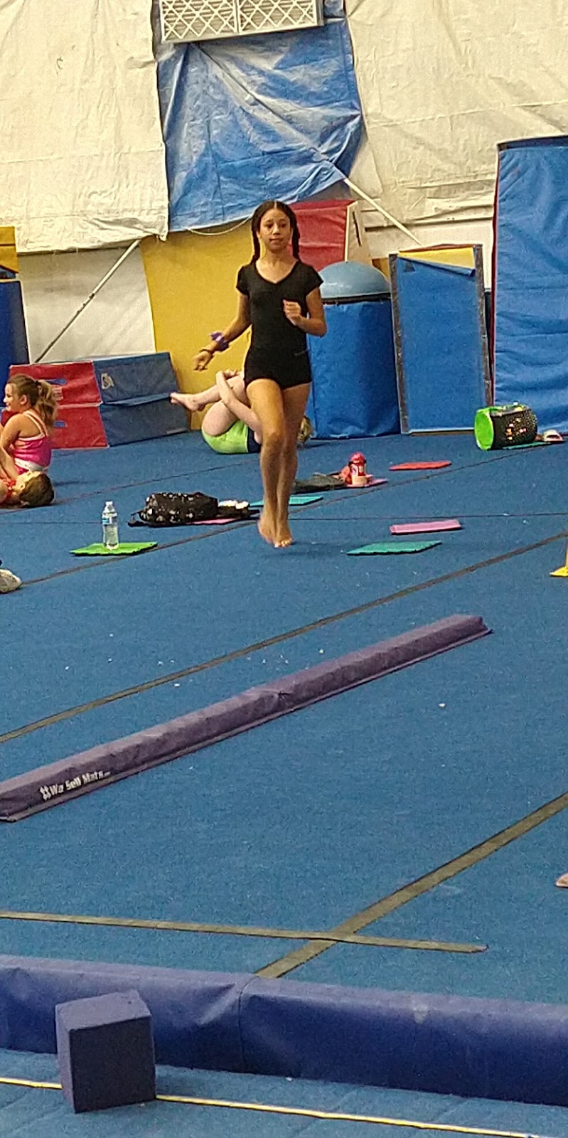 Aspire Gymnastics Academy photo 3