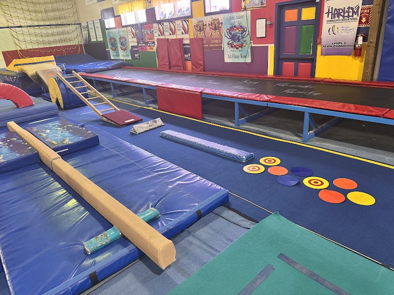 Mid-Coast Gymnastic and Dance Studio Plus photo 3